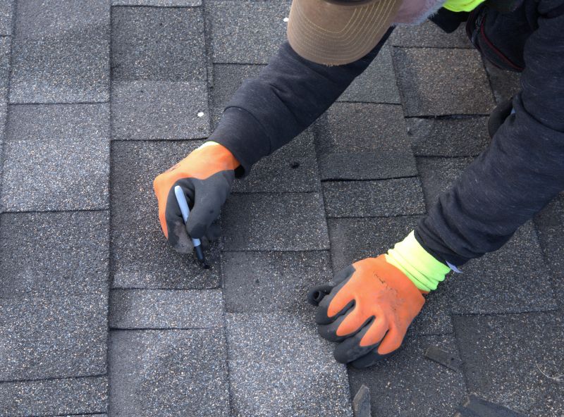 Shingle Replacement Expertise