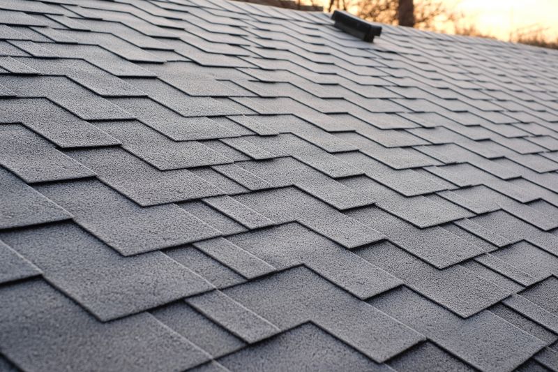 Asphalt Shingle Roof Installation Vs. Other Roofing Options